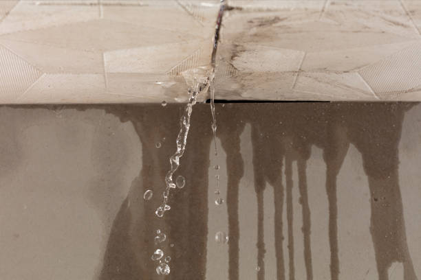 Professional Structural Drying technician working in Shannon, MS